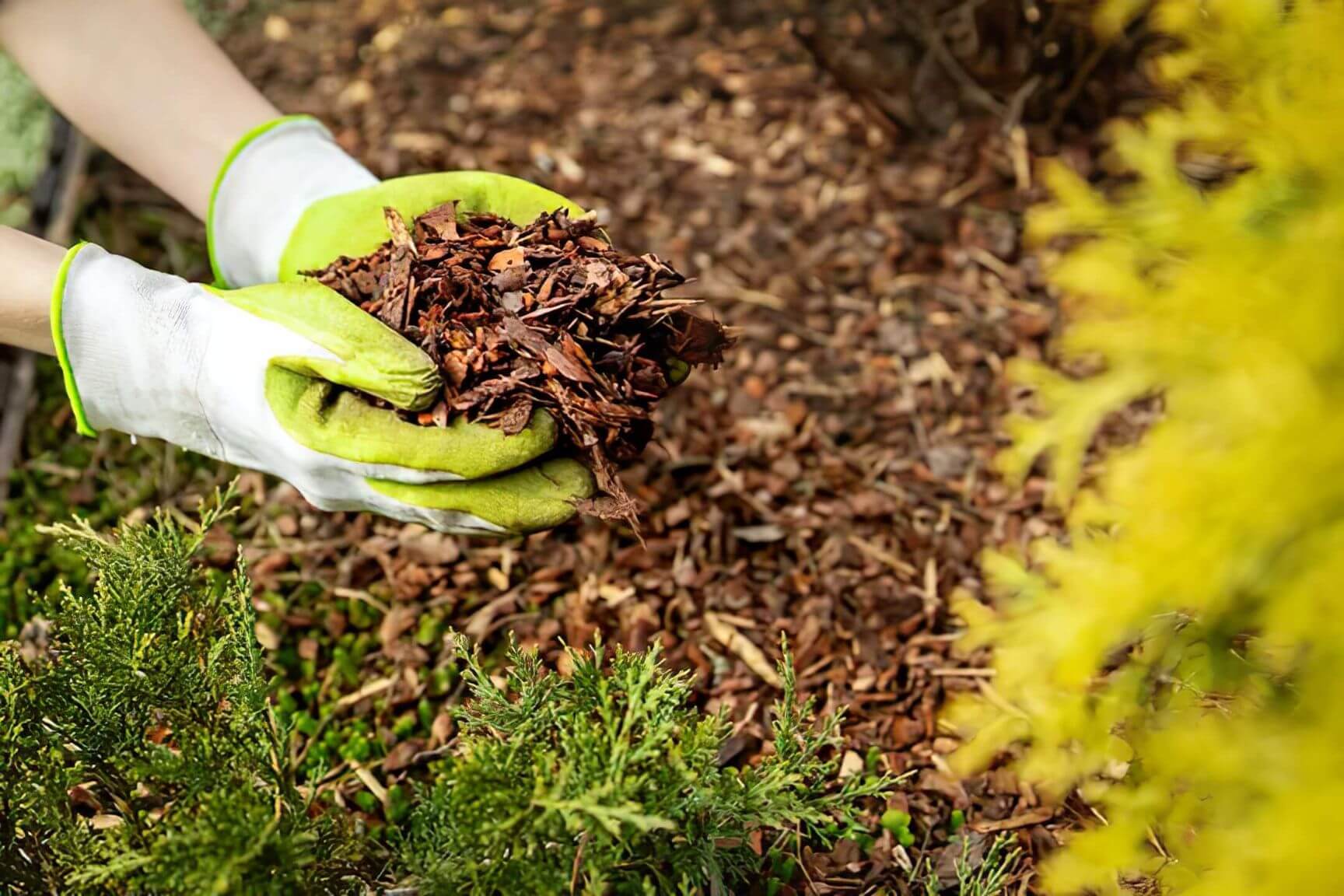 mulching san antonio texas