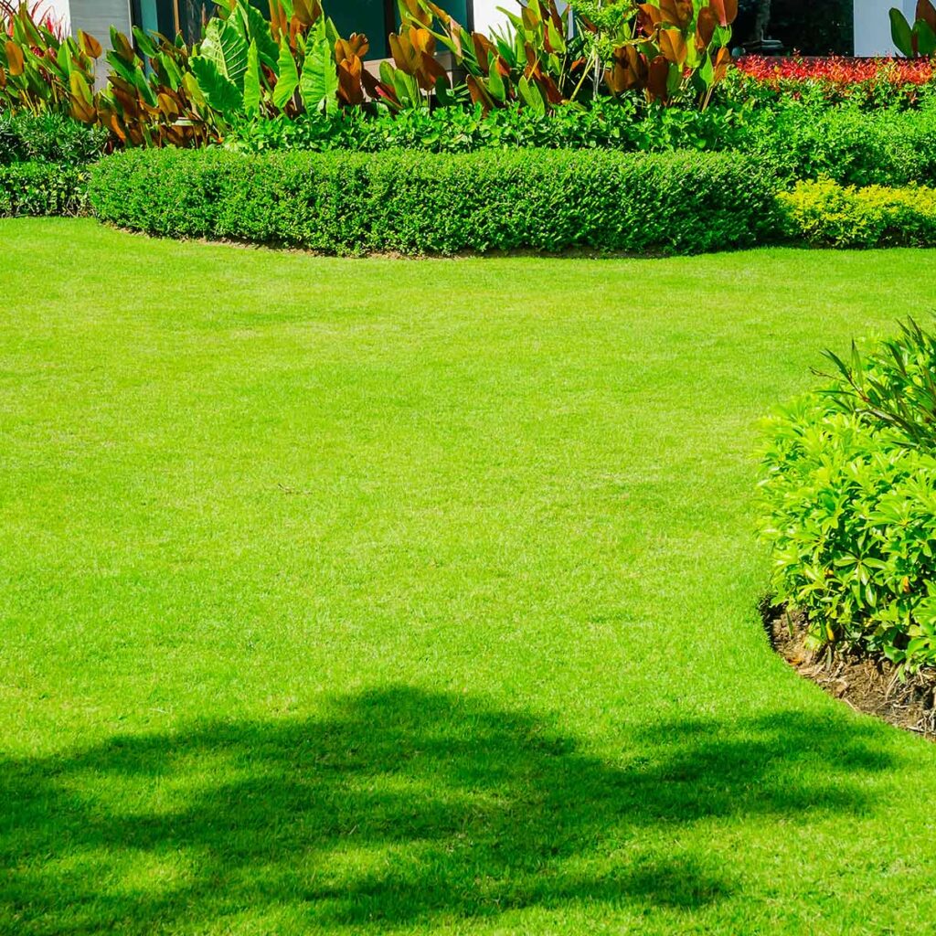 Proper Lawn Mowing Techniques