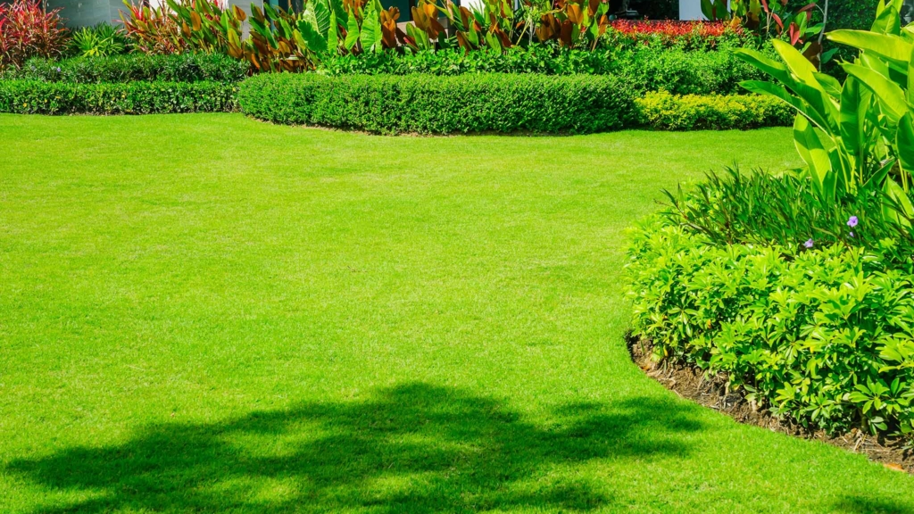 the-importance-of-proper-lawn-mowing-techniques-in-texas-pds-lawncare-llc